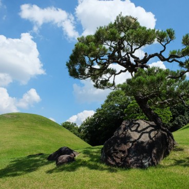 Collines artificielles et pins au jardin Suizen-ji Joju-en à Kumamoto