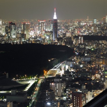 Panorama nocturne sur Tokyo depuis l'observatoire Shibuya Sky (Scramble)