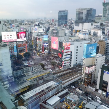 Vue depuis le Sky Gate de l'observatoire Shibuya Sky (Scramble)