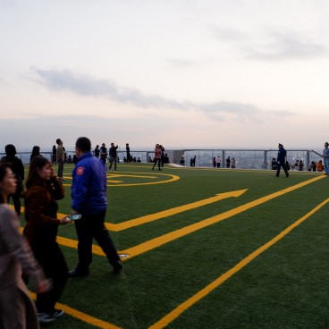 Espace gazon sur-élevé de l'observatoire Shibuya Sky (Scramble)