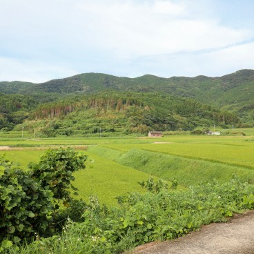 Vue sur la campagne et les rizières depuis le village Nordisk des îles Goto 2