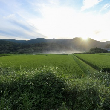 Vue sur la campagne et les rizières depuis le village Nordisk des îles Goto