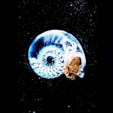 Exposition contemporaine temporaire au musée d'art de la ville de Towada