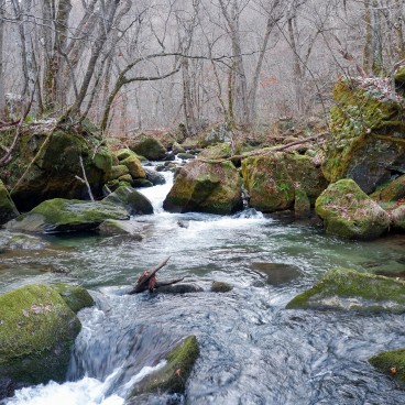  Rivière et gorges Oirase (Towada)