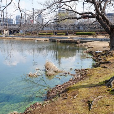 Parc et lac Senba à Mito (Ibaraki) 3