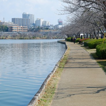 Parc et lac Senba à Mito (Ibaraki) 4