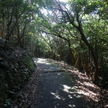 Randonnée cap Osezaki sur Fukue-jima (îles Goto - Nagasaki)