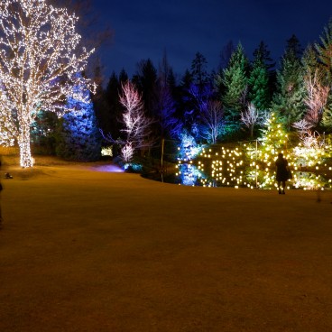 Illumination d'hiver dans le jardin du Sendai Royal Park Hotel (Miyagi)
