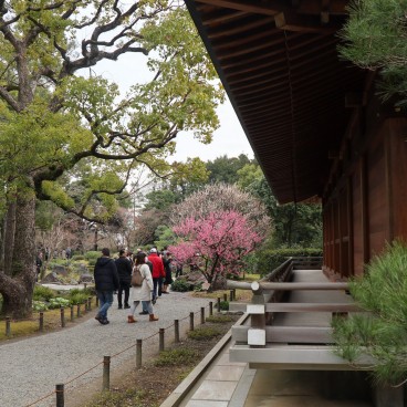 Sanctuaire Jonan-gu (sud de Kyoto)