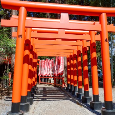 Sanctuaire Tokiwa au jardin Kairaku-en (Mito) 2