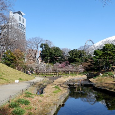 Parc aux pruniers Bairin au Koishikawa Korakuen à Tokyo 3
