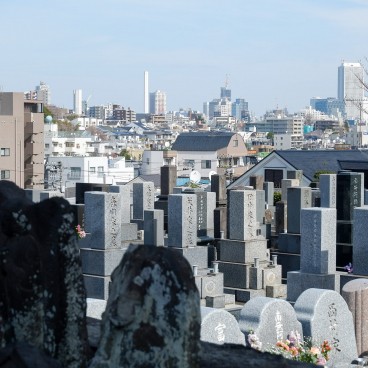 Vue sur Tokyo depuis le temple Kongoji à Ochiai