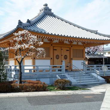 Temple Saishoji avec pruniers en fleurs à Ochiai (Tokyo)