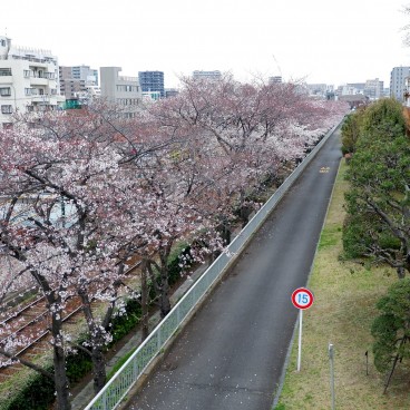 Station Arakawa Nichome sur la ligne du Tokyo Sakura Tram (Toden Arakawa) 2