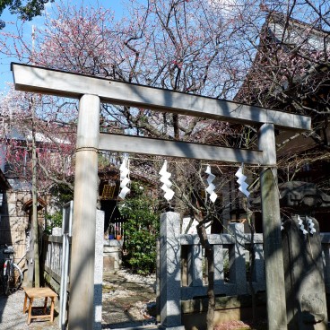 Sanctuaire Ushi-Tenjin Kitano-jinja à Tokyo 2