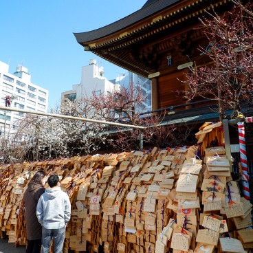 Yushima Tenman-gu, Plaquettes votives ema
