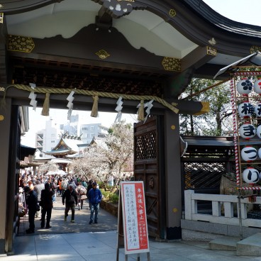 Yushima Tenman-gu, Entrée lors du Ume matsuri