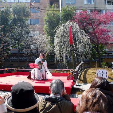 Yushima Tenman-gu, concert de musique traditionnelle pendant Ume Matsuri en février