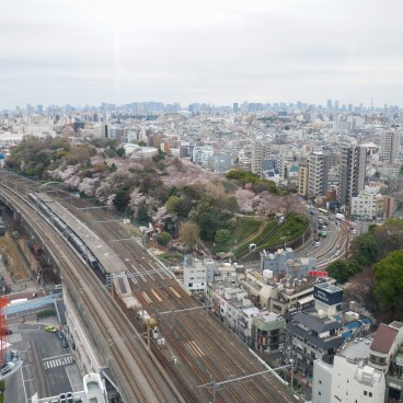 Vue sur le Parc Asukayama et les voies de chemin de fer depuis Hokutopia