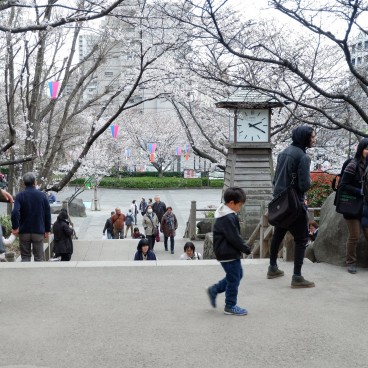 Parc Asukayama, Promenade sous les cerisiers en fleurs 3