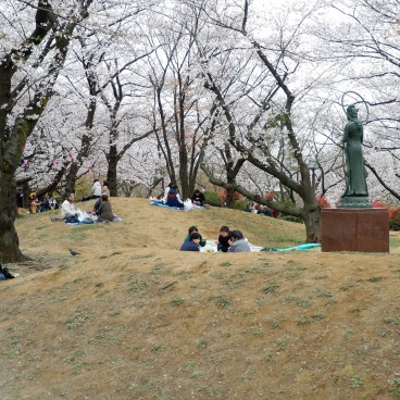Parc Asukayama, Visiteurs installés pour un pique-nique sous les cerisiers en fleurs