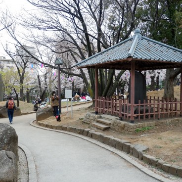 Parc Asukayama, Promenade sous les cerisiers en fleurs 5
