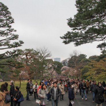 Inui-dori, Vue sur l'allée 2