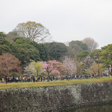Inui-dori, Vue sur l'allée 3