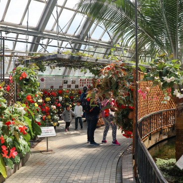 Serre tropicale du Jardin botanique de Kyoto