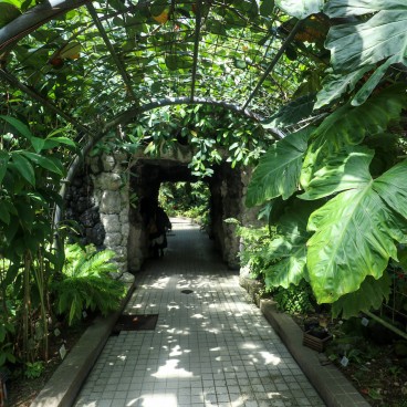 Serre tropicale du Jardin botanique de Kyoto 2
