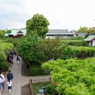 Enceinte du sanctuaire Kameido Tenjin à Tokyo 2