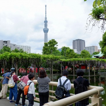 Vue sur Tokyo SkyTree depuis le sanctuaire Kameido Tenjin