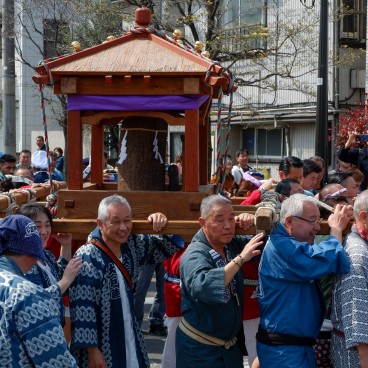 Kanamara Matsuri, Dai-mikoshi en procession