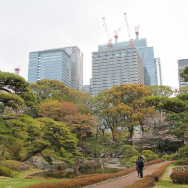 Vue sur Kokyo Higashi Gyoen en période de sakura 5