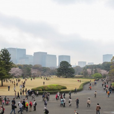 Vue sur Kokyo Higashi Gyoen en période de sakura