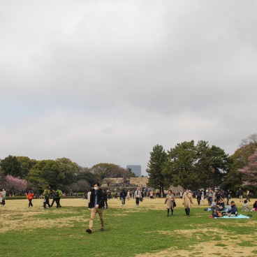 Vue sur Kokyo Higashi Gyoen en période de sakura 3