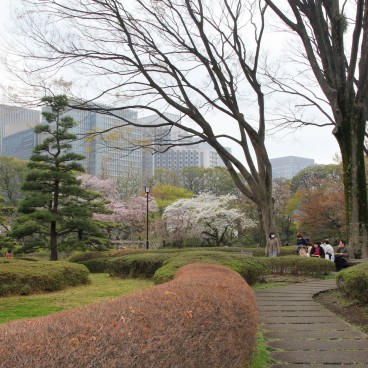 Vue sur Kokyo Higashi Gyoen en période de sakura 4