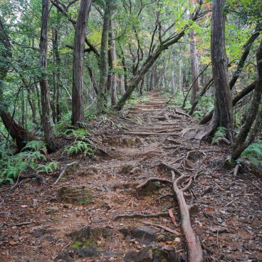 Chemin de randonnée Dainichi-goe, route de la Kumano Kodo à Tanabe (Wakayama)