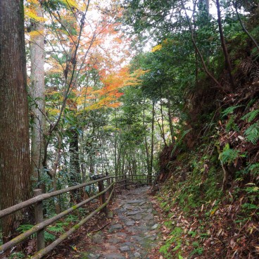 Chemin de randonnée Dainichi-goe, route de la Kumano Kodo à Tanabe (Wakayama) 2