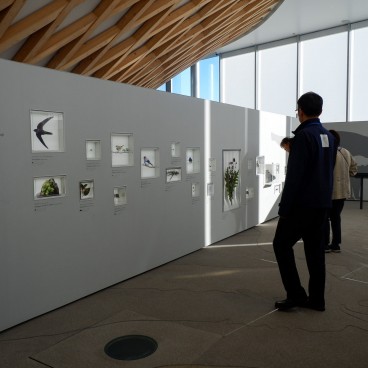Salle d'exposition thématique au Mt. Fuji World Heritage Centre (Shizuoka)