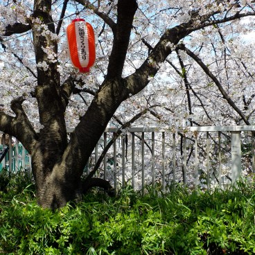 Lanterne servant aux illuminations nocturnes à Omokage-bashi
