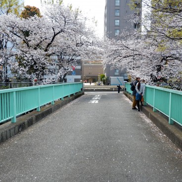 Le pont contemporain Omokage-bashi