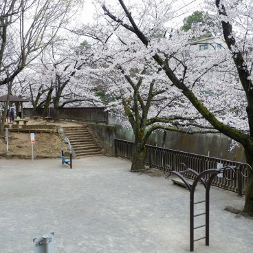 Parc Otonashi Kunugi Ryokuchi (Otonashi Kunugi Green Space) au bord de la rivière Shakuji-gawa à Tokyo