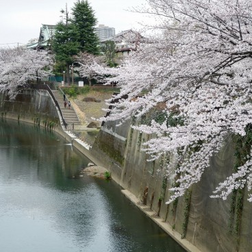 Parc Otonashi Momiji Ryokuchi (Otonashi Momiji Green Park) au bord de la rivière Shakuji-gawa à Tokyo