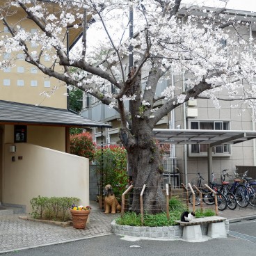 Quartier résidentiel au bord de la rivière Shakuji-gawa à Tokyo