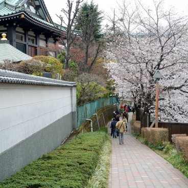 Balade au bord de la rivière Shakuji-gawa à Tokyo
