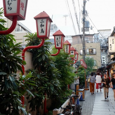 Vue de la rue Hozen-ji Yokocho à Osaka