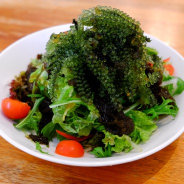 Algues umi budo surnommées le raisin de mer, spécialité culinaire à Ishigaki