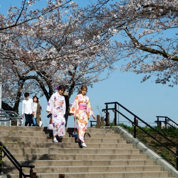 Location de yukata et balade au bord de la rivière Sumida à Tokyo