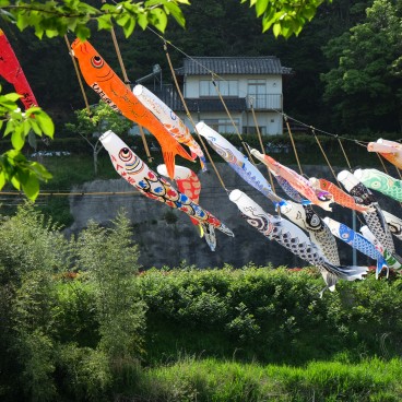 Matsue (Shimane), cerf-volants koi nobori au vent pour la fête des garçons début mai au Japon